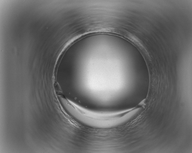 X0000058831332200510282213