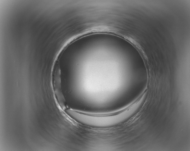 X0000058831342200510282213