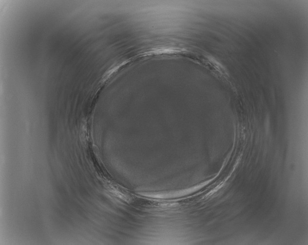X0000058831353200510282212