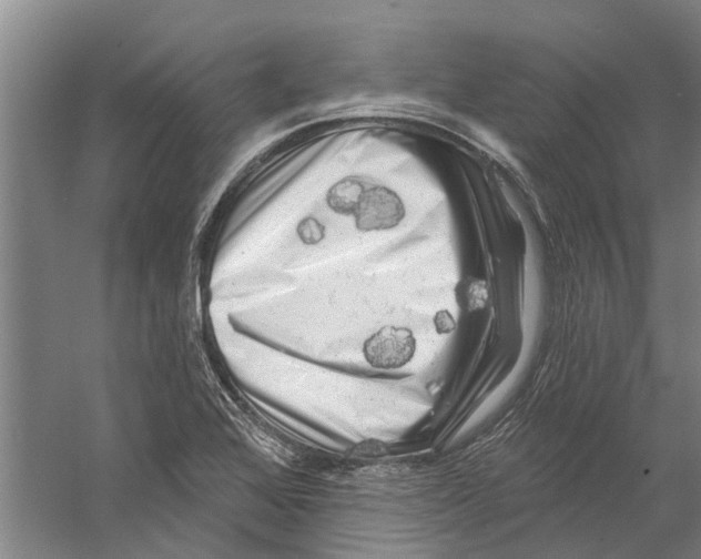 X0000058831368200510282212