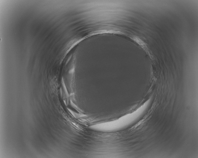 X0000058831369200510282212