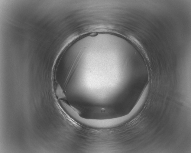 X0000058831384200510282212