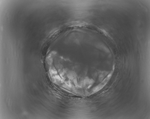 X0000058831399200510282211