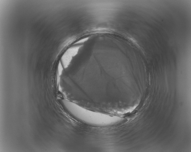 X0000058831405200510282211