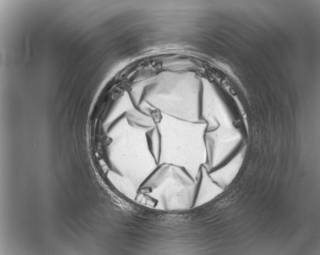 X0000058831424200510282211
