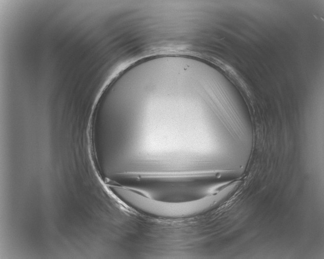 X0000058831432200510282211