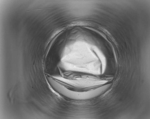 X0000058831433200510282211