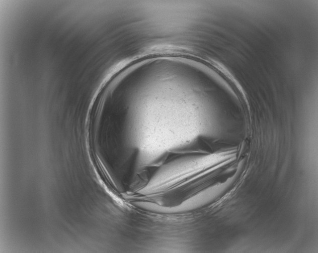 X0000058831437200510282211