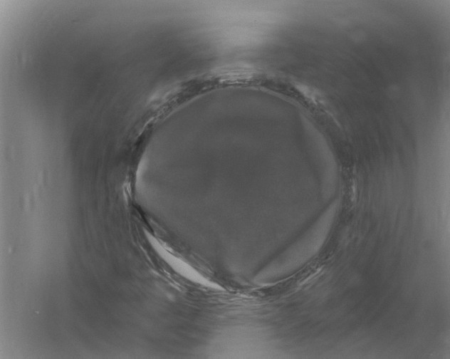 X0000058831445200510282211
