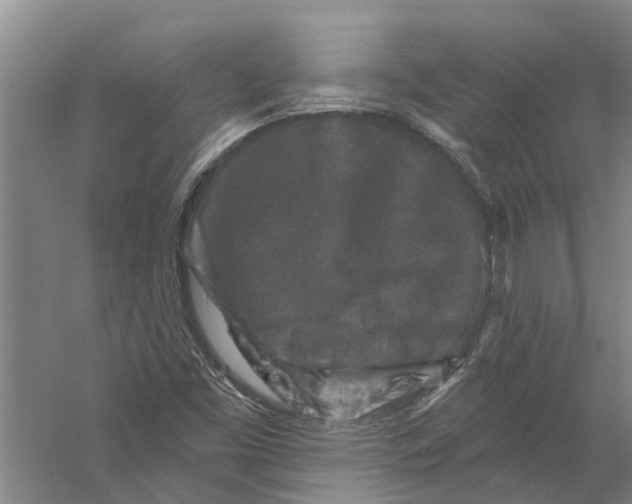 X0000058831453200510282210