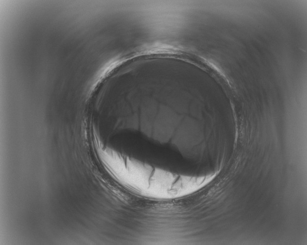 X0000058831455200510282210