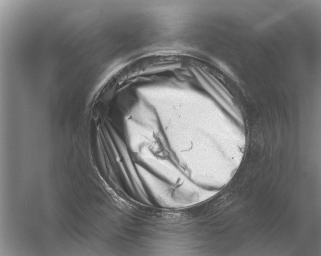 X0000058831456200510282210