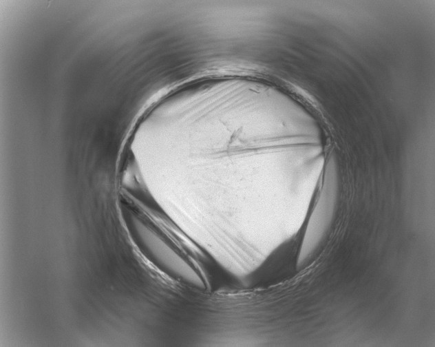 X0000058831471200510282210