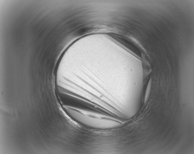 X0000058831476200510282210