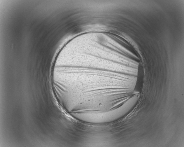 X0000058831488200510282210