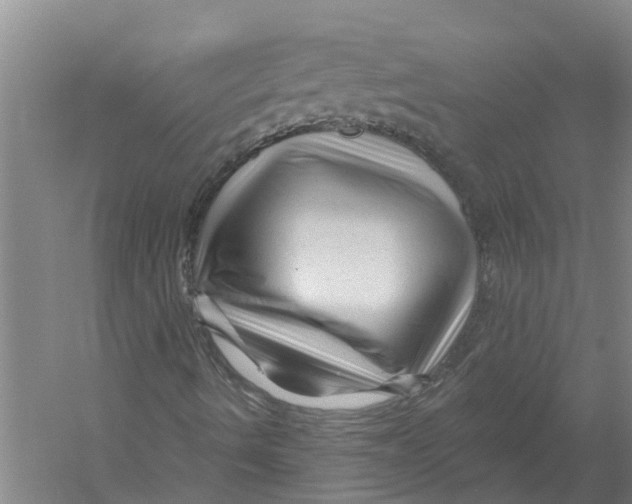 X0000058831490200510282209