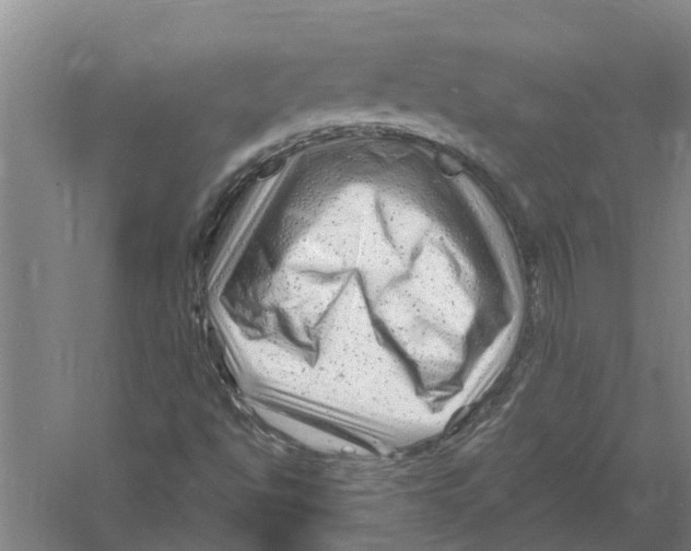 X0000058831494200510282209