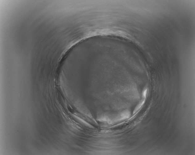 X0000058831497200510282209