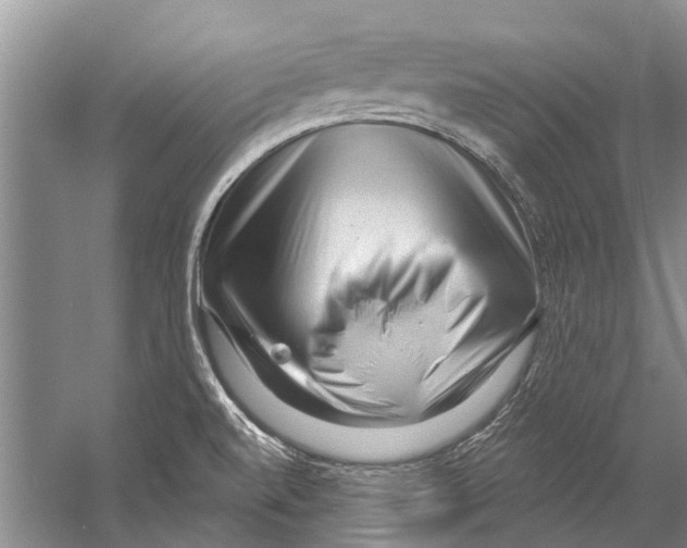 X0000058831520200510282210
