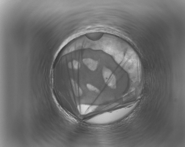 X0000058831522200510282210