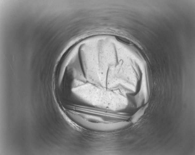 X0000058831523200510282210