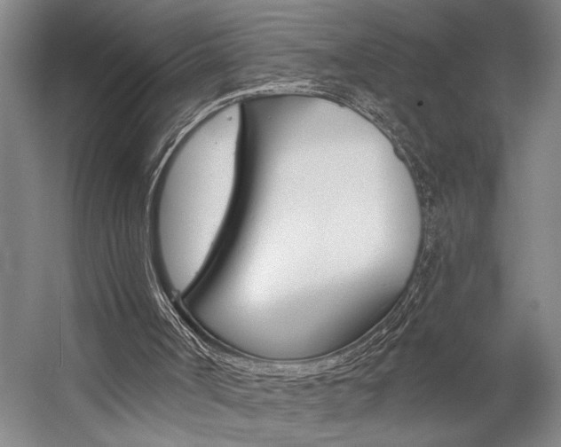 X0000059040002200510070837