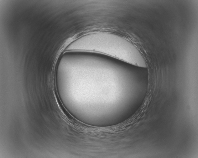 X0000059040003200510070837