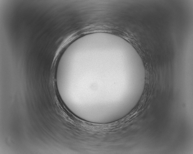 X0000059040004200510070837