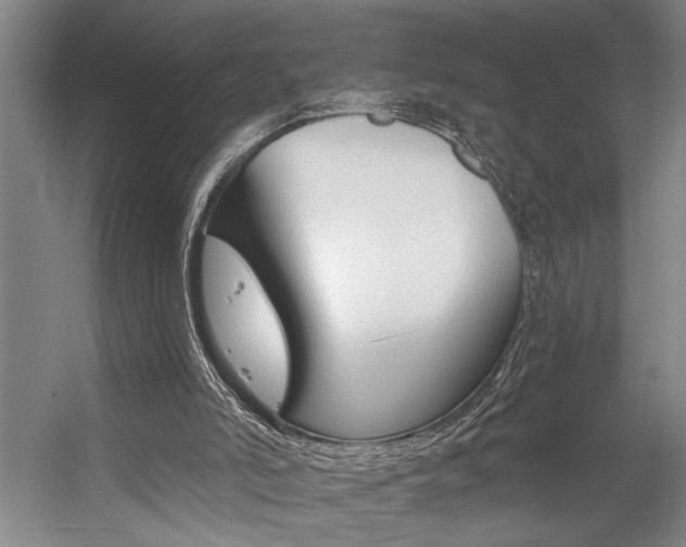 X0000059040006200510070837