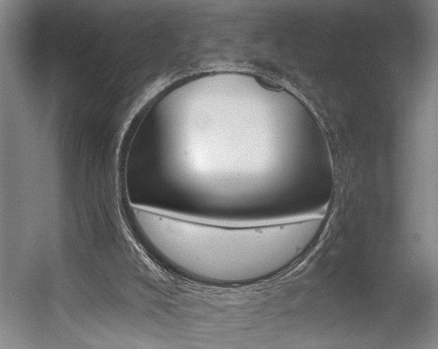 X0000059040008200510070837