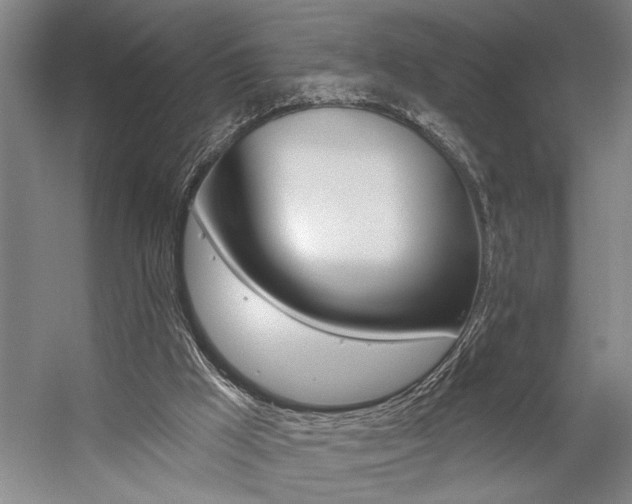 X0000059040009200510070837