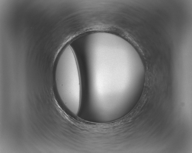 X0000059040011200510070837