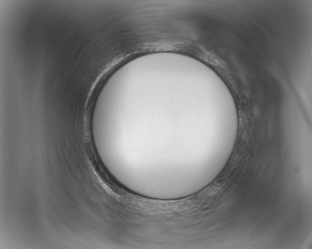 X0000059040012200510070837