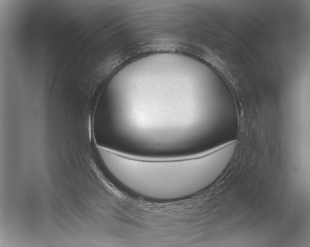 X0000059040013200510070837