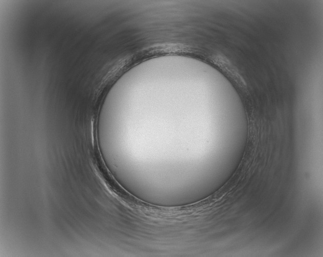 X0000059040014200510070837