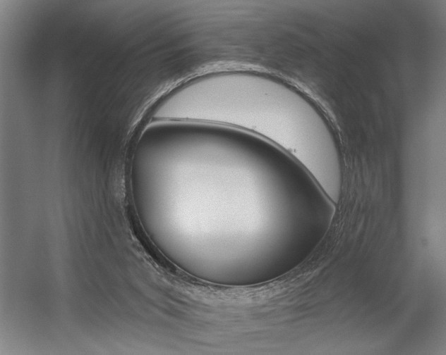 X0000059040015200510070837