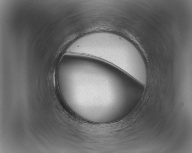 X0000059040019200510070837