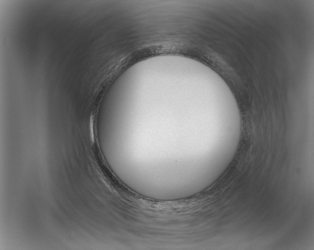 X0000059040022200510070837