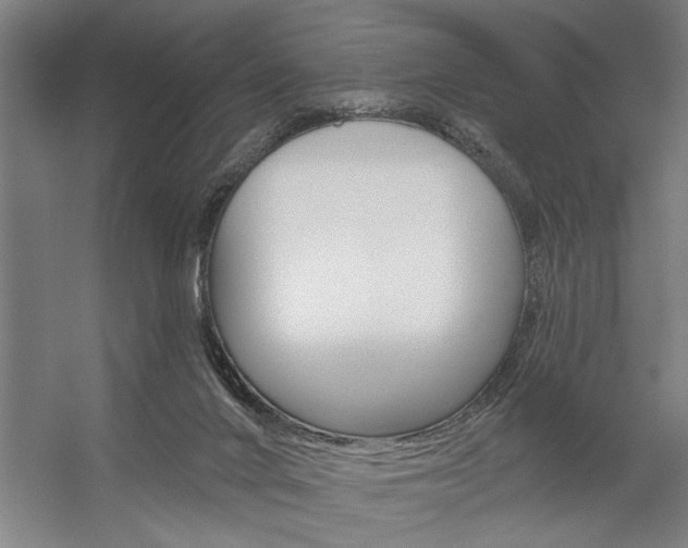 X0000059040024200510070837