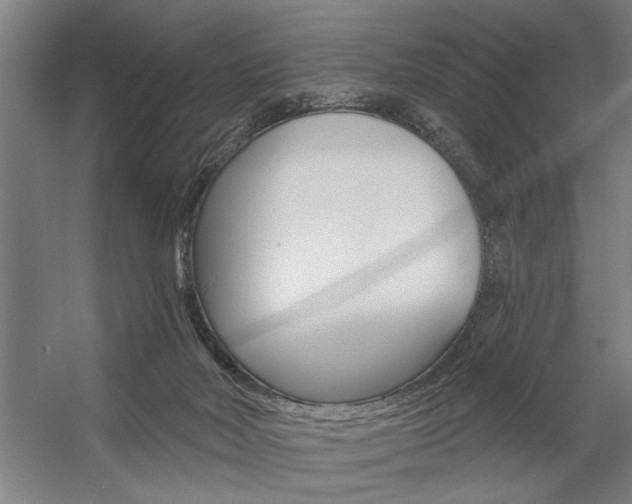 X0000059040026200510070837
