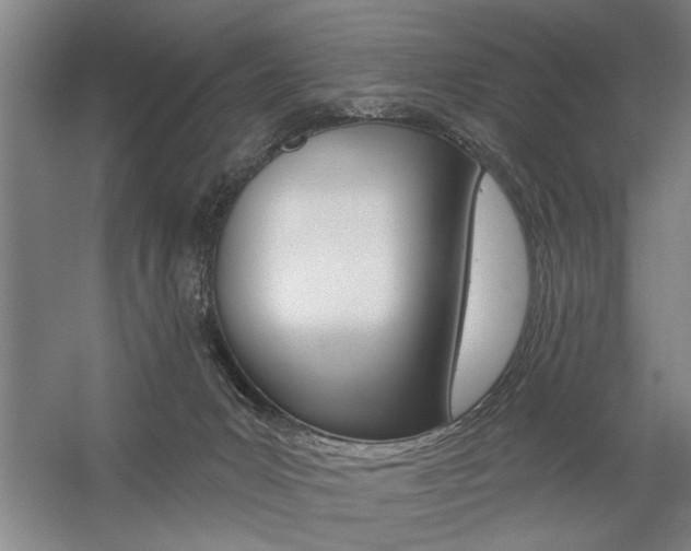 X0000059040031200510070837
