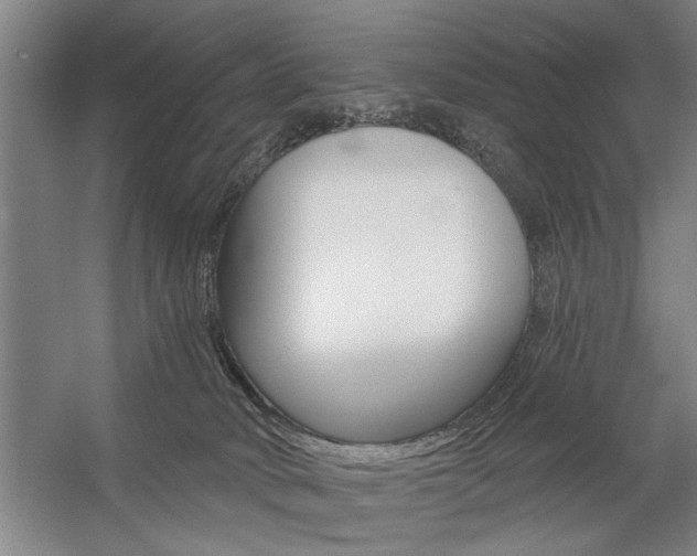 X0000059040034200510070837