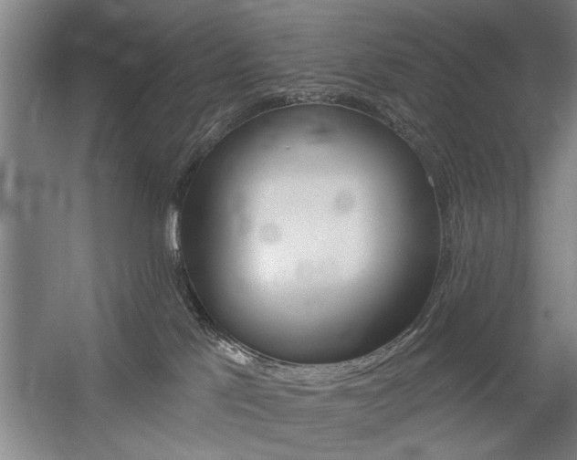X0000059040041200510070836