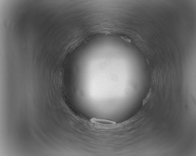 X0000059040043200510070836