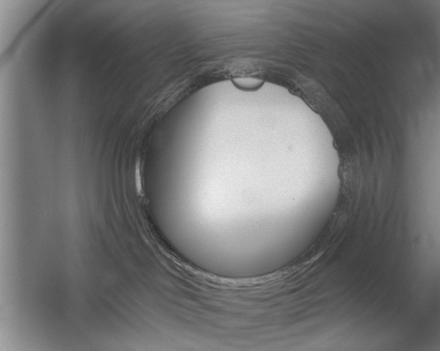 X0000059040046200510070836