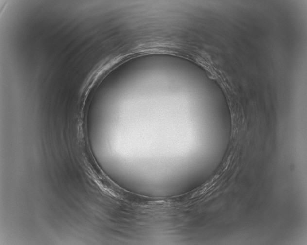 X0000059040050200510070836
