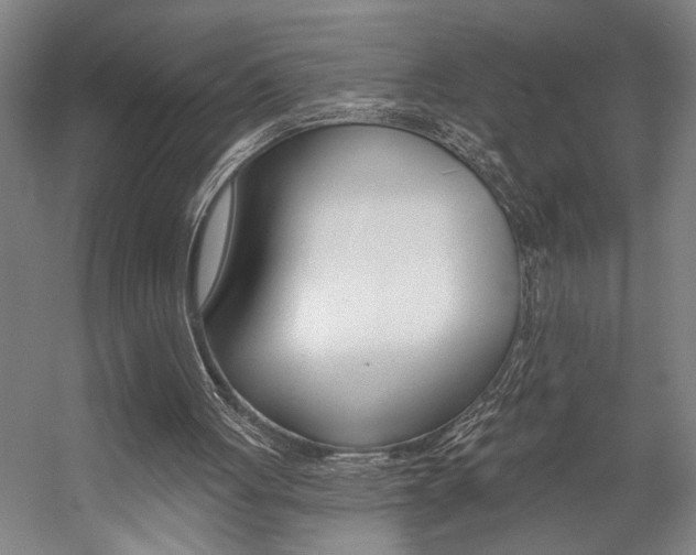 X0000059040051200510070836