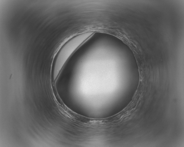 X0000059040052200510070836