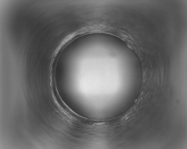 X0000059040054200510070836