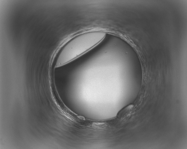 X0000059040055200510070836